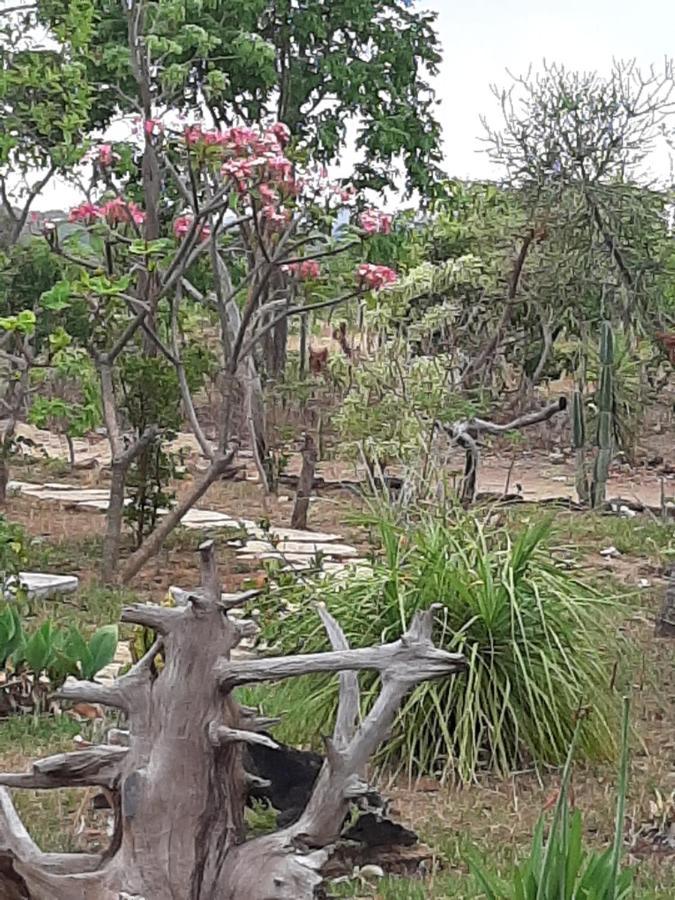 Estancia Morro Do Frota Pirenopolis Bagian luar foto