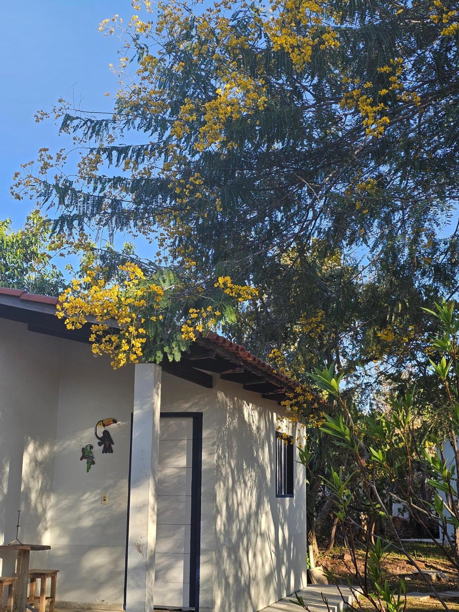 Estancia Morro Do Frota Pirenopolis Bagian luar foto
